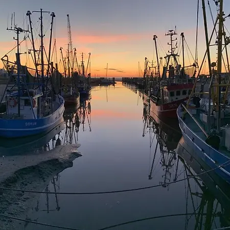 „buss“ 도룸 노이펠트